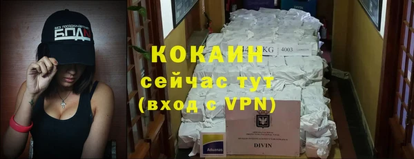 ПСИЛОЦИБИНОВЫЕ ГРИБЫ Белокуриха