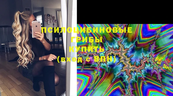 ПСИЛОЦИБИНОВЫЕ ГРИБЫ Белокуриха