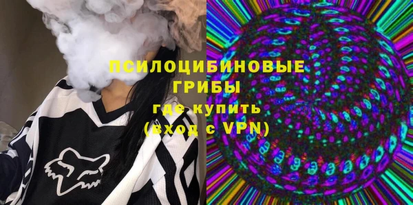 молекула духа Белоозёрский