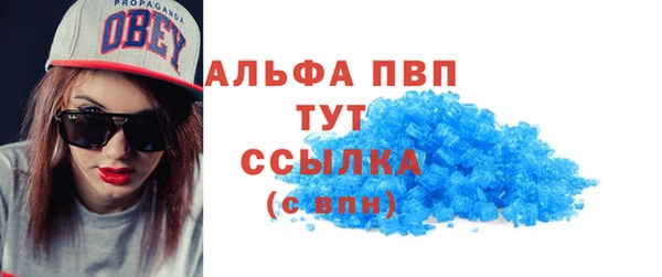 ПСИЛОЦИБИНОВЫЕ ГРИБЫ Белокуриха