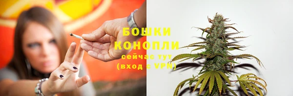 ПСИЛОЦИБИНОВЫЕ ГРИБЫ Белокуриха