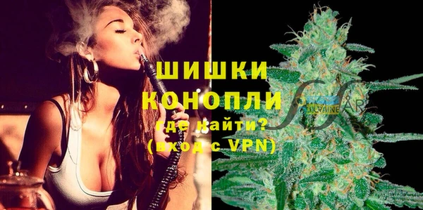 ПСИЛОЦИБИНОВЫЕ ГРИБЫ Белокуриха