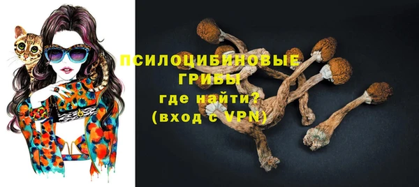 ПСИЛОЦИБИНОВЫЕ ГРИБЫ Белокуриха