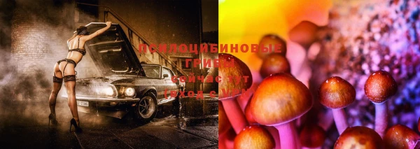 молекула духа Белоозёрский