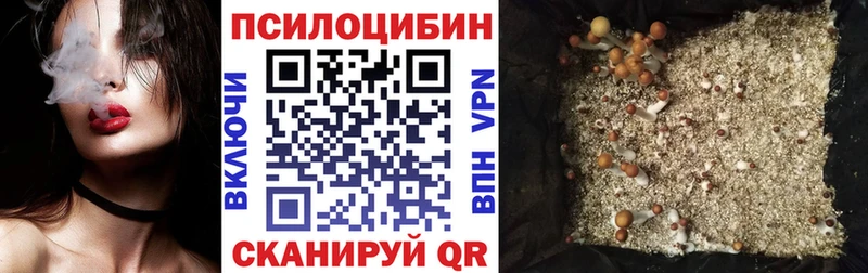 Псилоцибиновые грибы Magic Shrooms  Маркс 